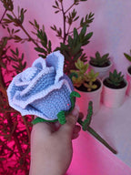 Everlasting Crochet Rose