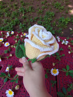 Everlasting Crochet Rose
